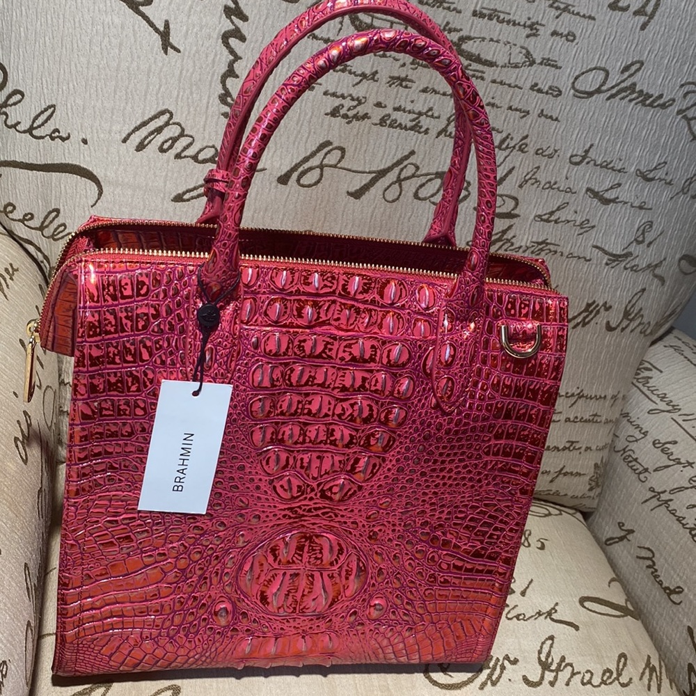 Brahmin - Picture 14 of 15